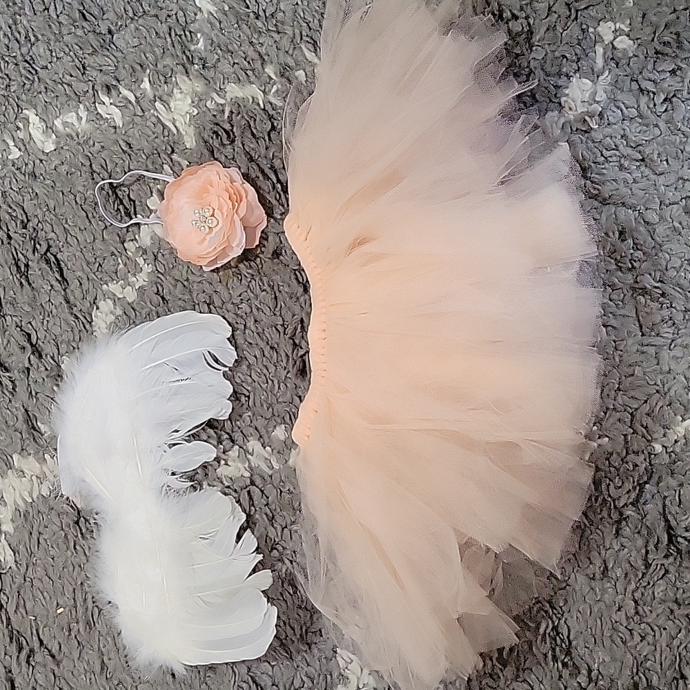 Halloween Costume or newborn photo shoot, NEW